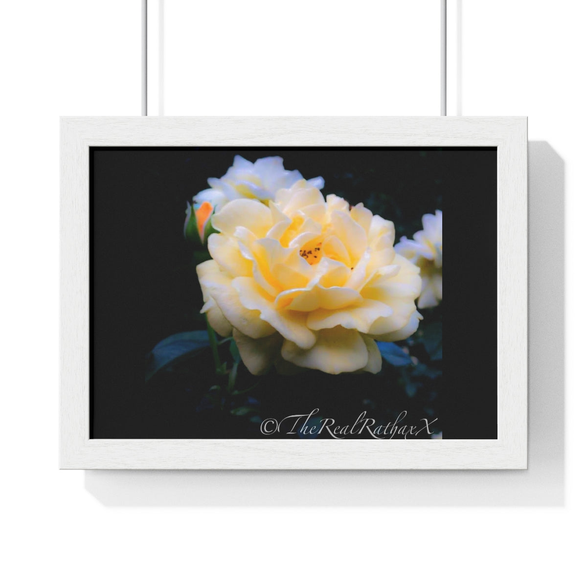 Toledo Botanical Gardens Framed Horizontal Poster