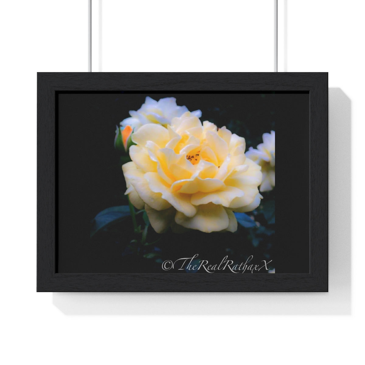 Toledo Botanical Gardens Framed Horizontal Poster