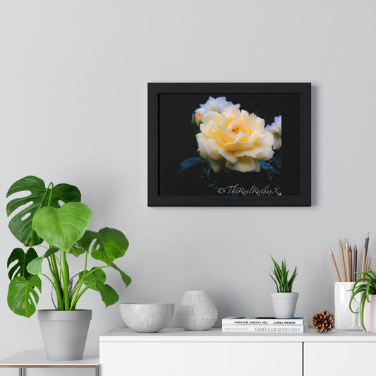 Toledo Botanical Gardens Framed Horizontal Poster